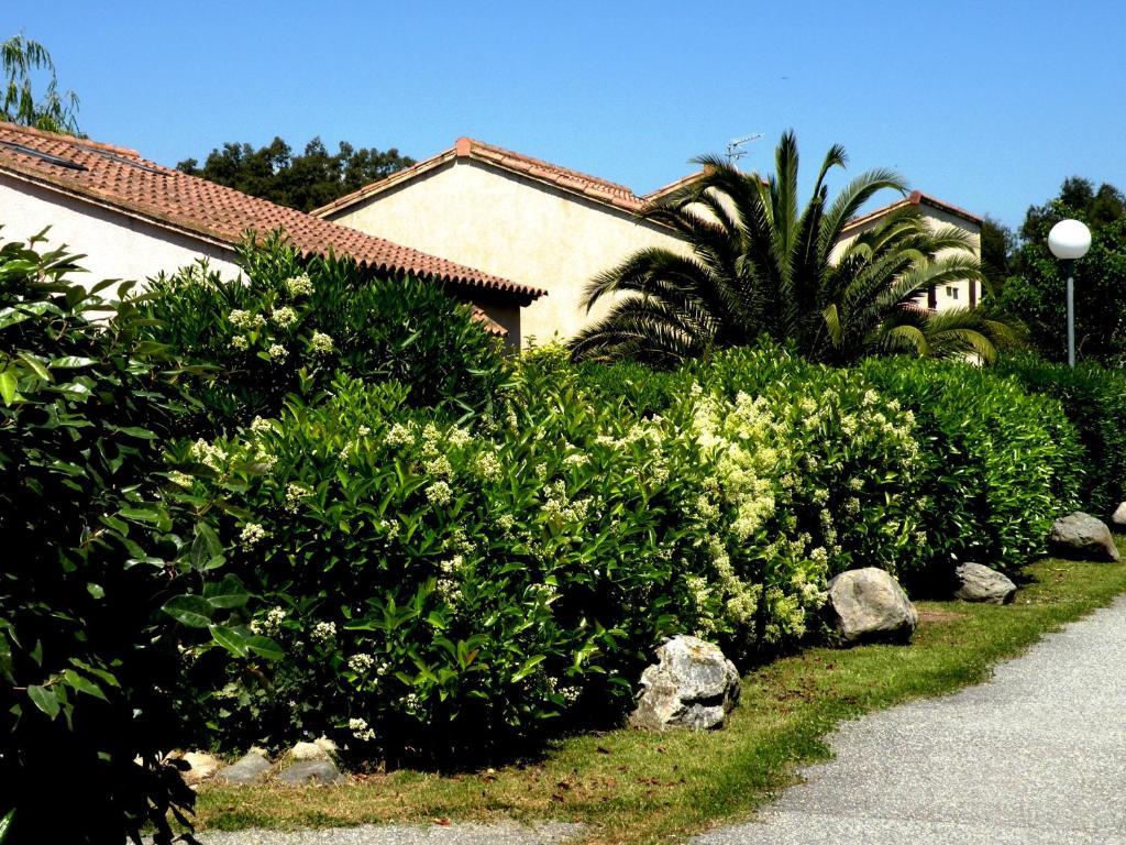 Residence De Tourisme Marina Corsa Ghisonaccia Zewnętrze zdjęcie